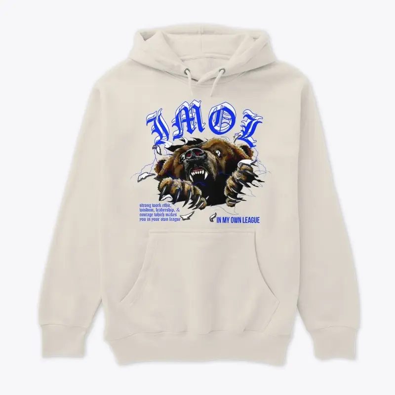 Pull over  Hoodie NEW